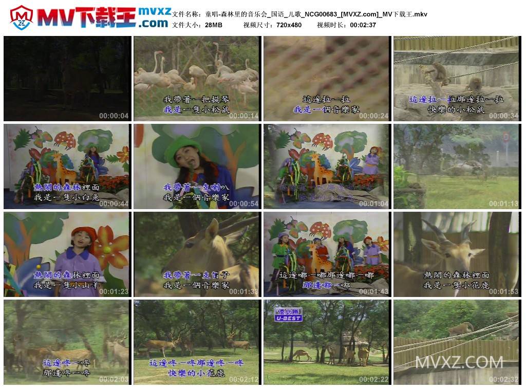 童唱-森林里的音乐会_国语_儿歌_NCG00683